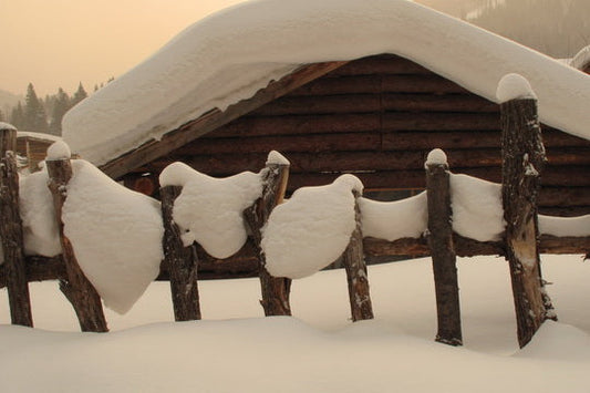 Snow Village hike