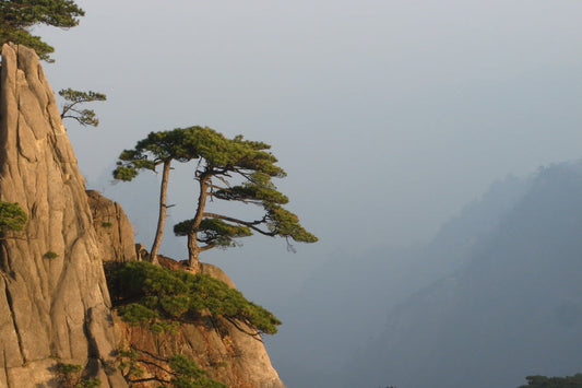Mt. Huang
