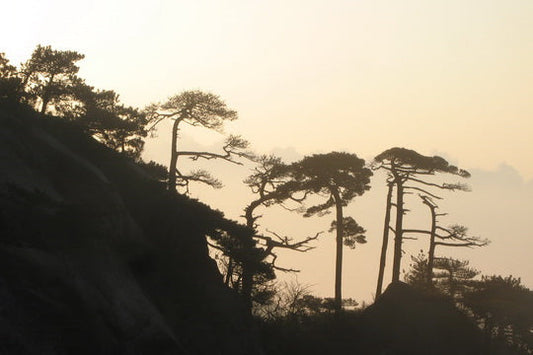 Mt. Gu Niu Jiang