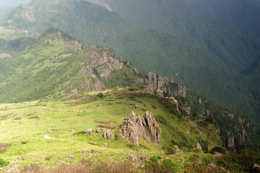 Shen Nong Jia reserve
