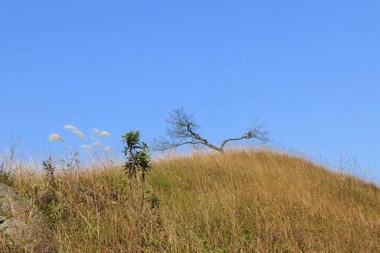 Mt. Chuan Di Ding