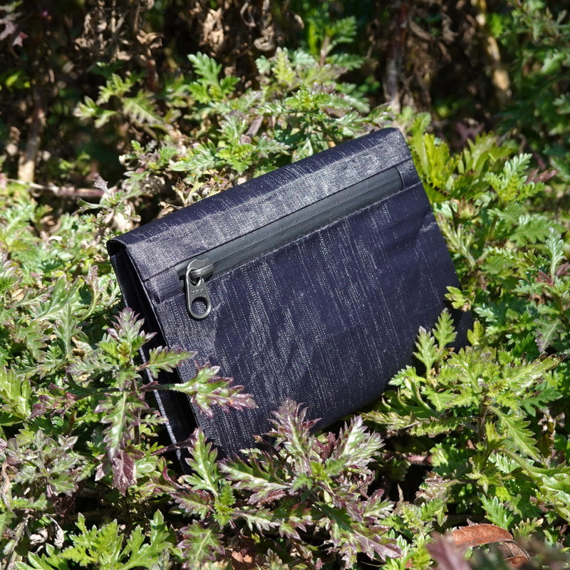 Traveler wallet
