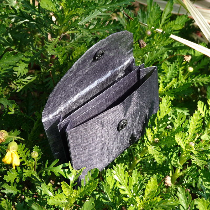 Traveler wallet