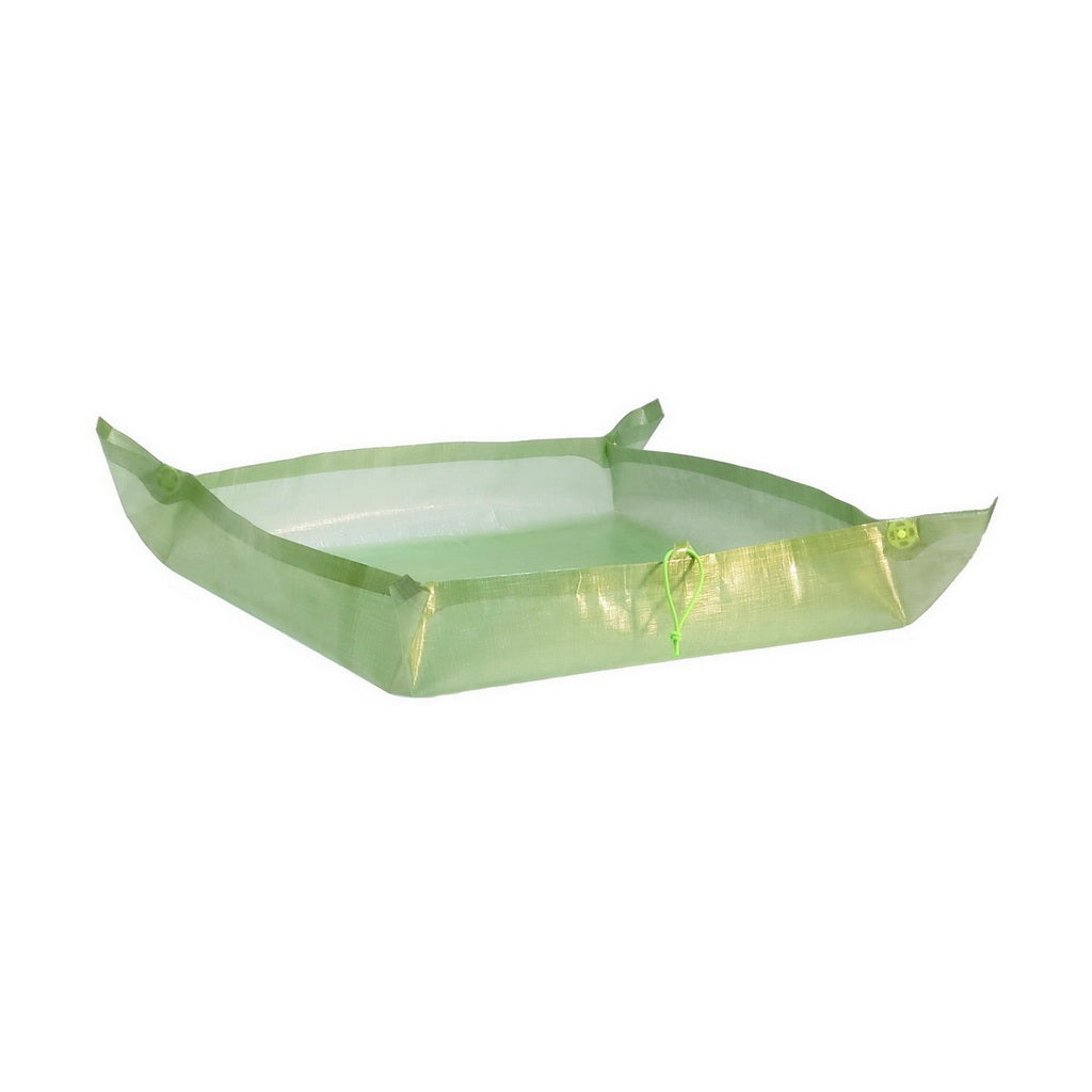 Tray